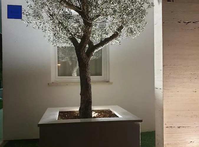 Appartement 4you Vir